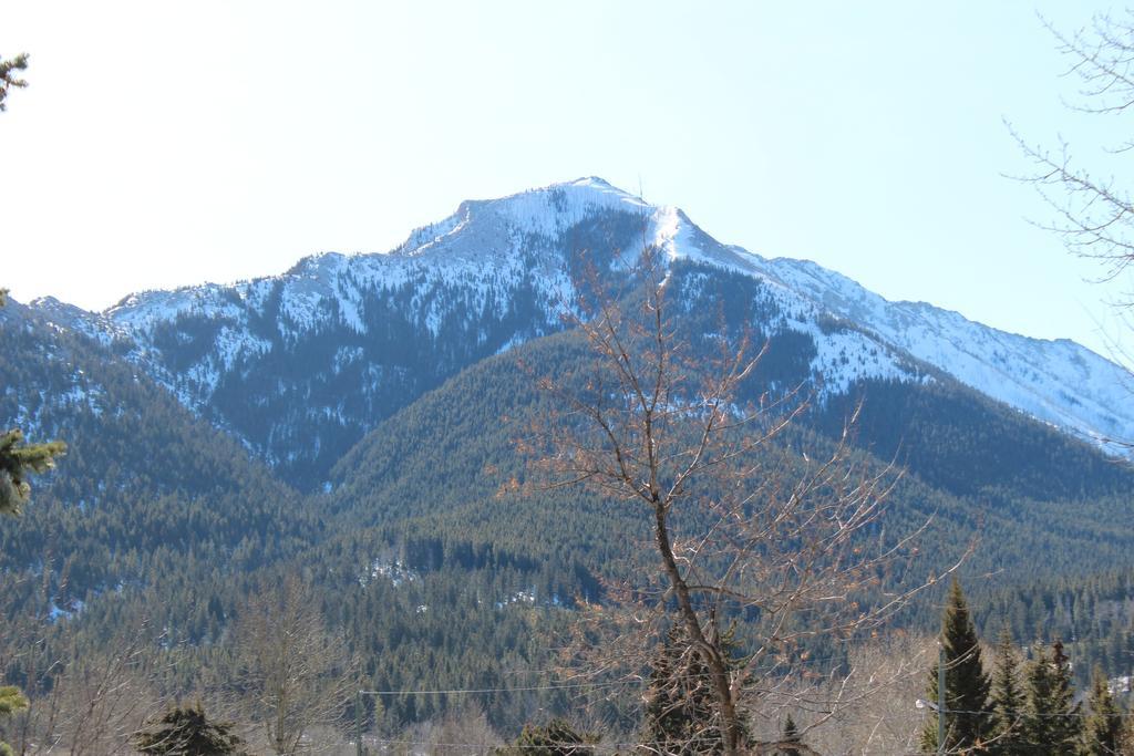 The Cosmopolitan Hotel Blairmore ภายนอก รูปภาพ